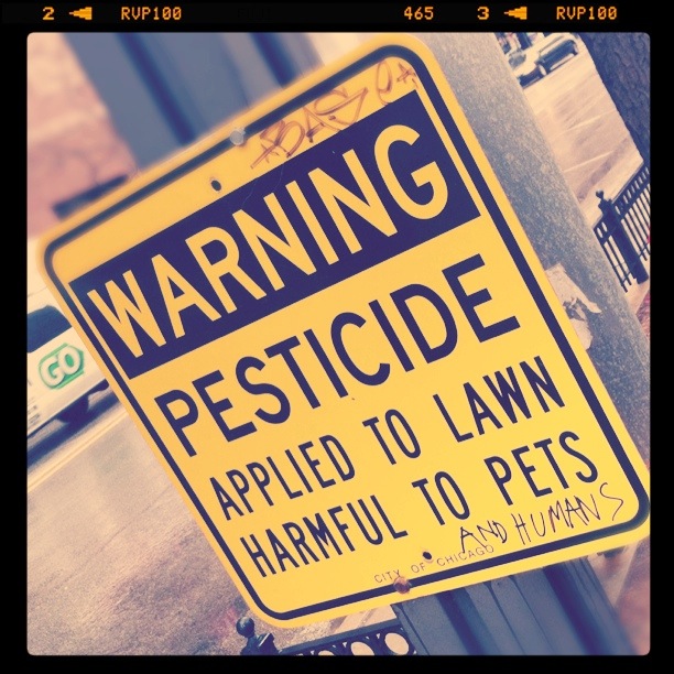 Charges Filed in the Wrongful Pesticide Deaths of Two Young Layton Girls