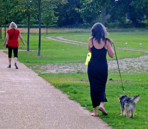 Lady walking a dog in a park